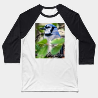 717 bluebird Baseball T-Shirt